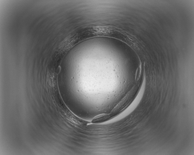 X0000052640514200507082009