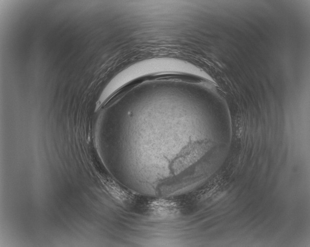 X0000052640515200507082009