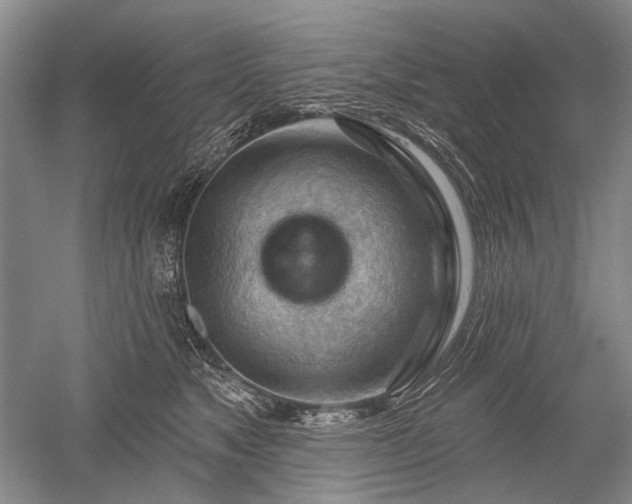 X0000052640517200507082009