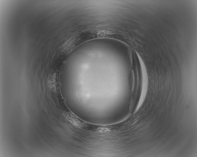 X0000052640519200507082009