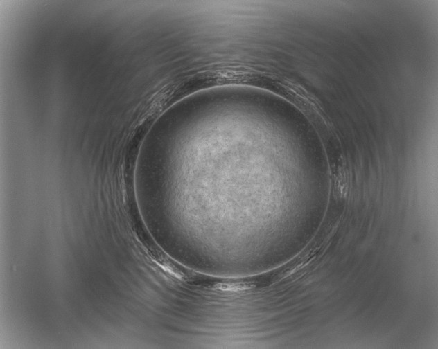 X0000052640520200507082009