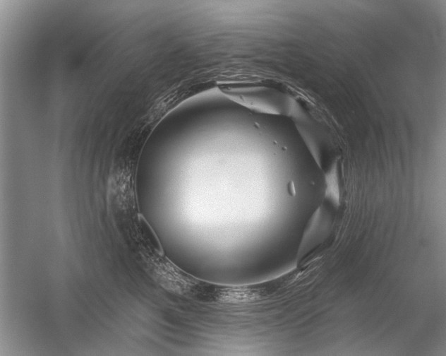 X0000052640521200507082009