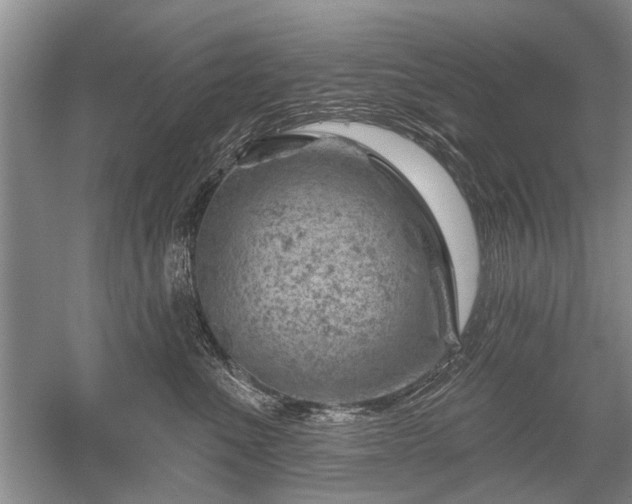 X0000052640523200507082009