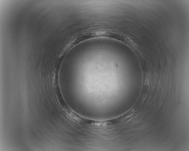 X0000052640524200507082009