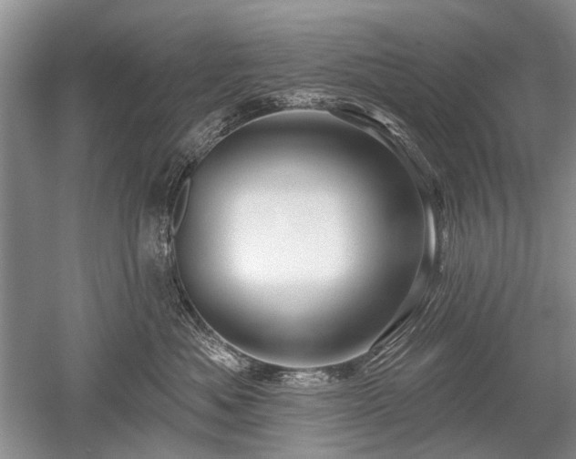 X0000052640525200507082009