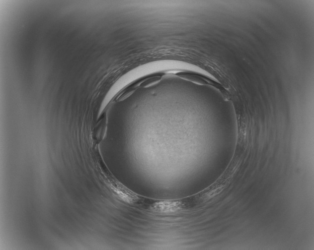 X0000052640526200507082009