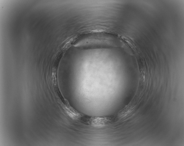 X0000052640527200507082009