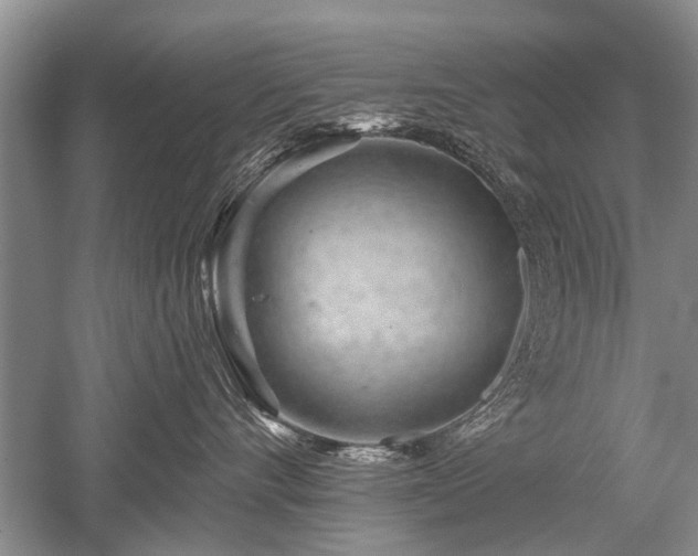 X0000052640528200507082009