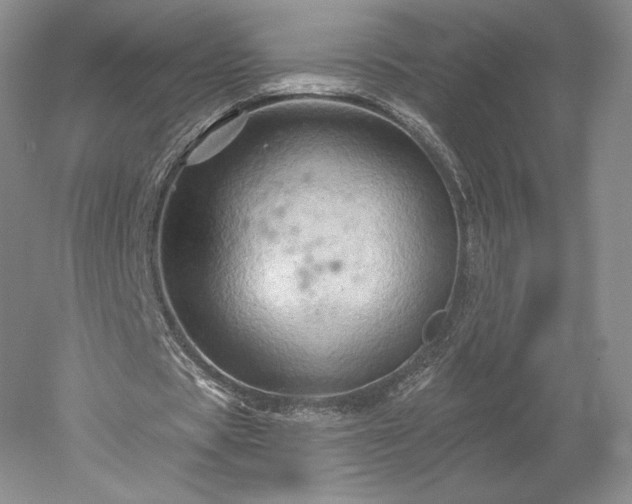 X0000052640529200507082008