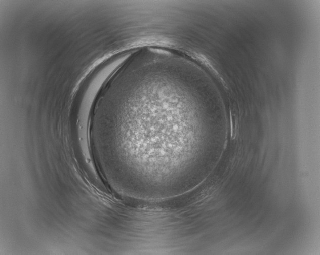 X0000052640531200507082008