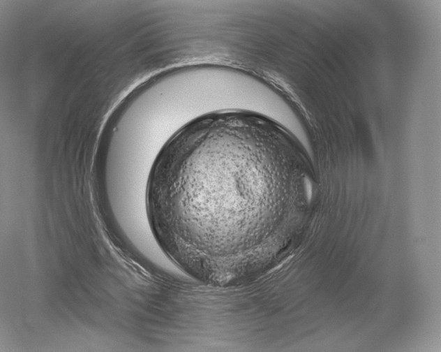 X0000052640532200507082008