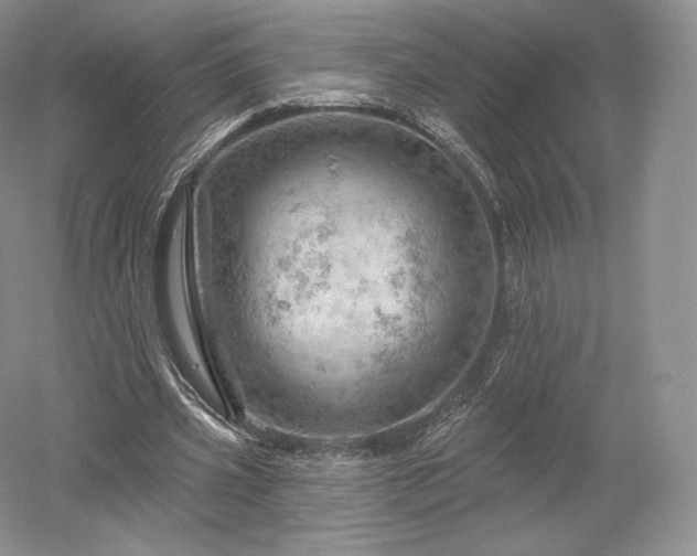 X0000052640533200507082008