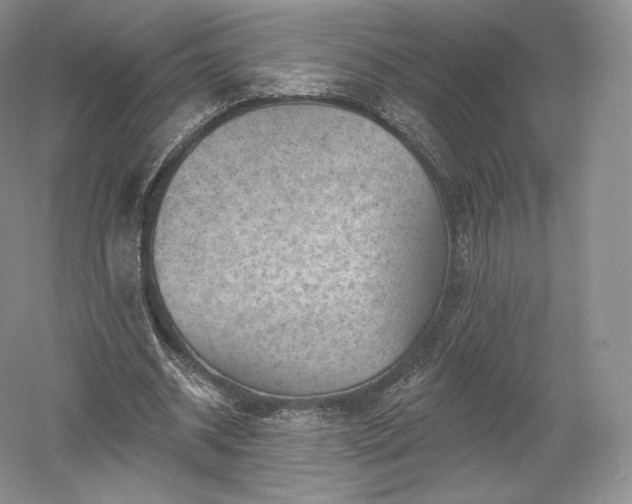 X0000052640534200507082008