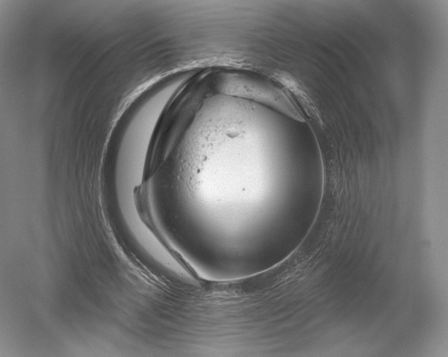 X0000052640536200507082008