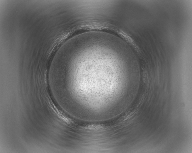 X0000052640537200507082008