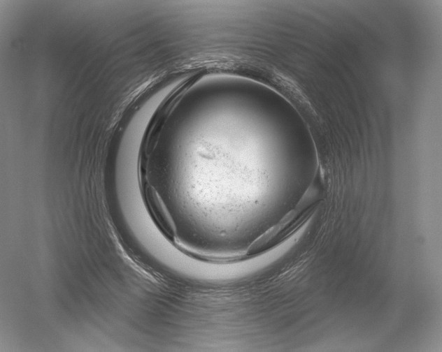 X0000052640538200507082008