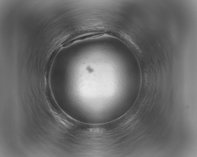 X0000052640541200507082008