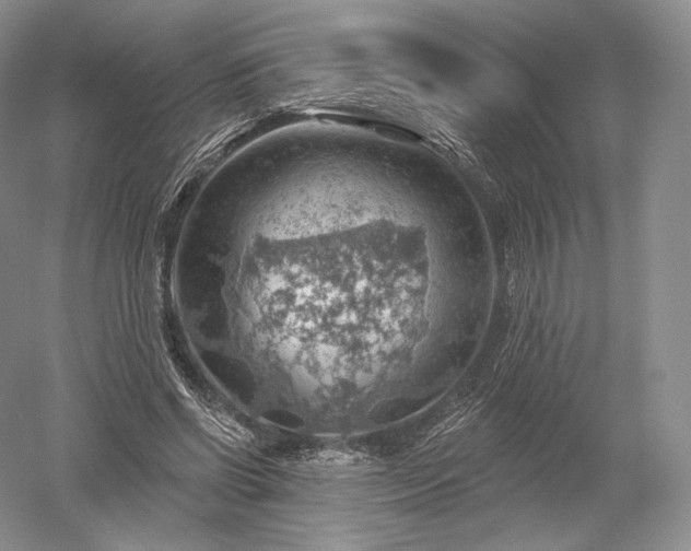 X0000052640542200507082008