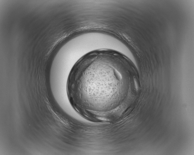 X0000052640543200507082008