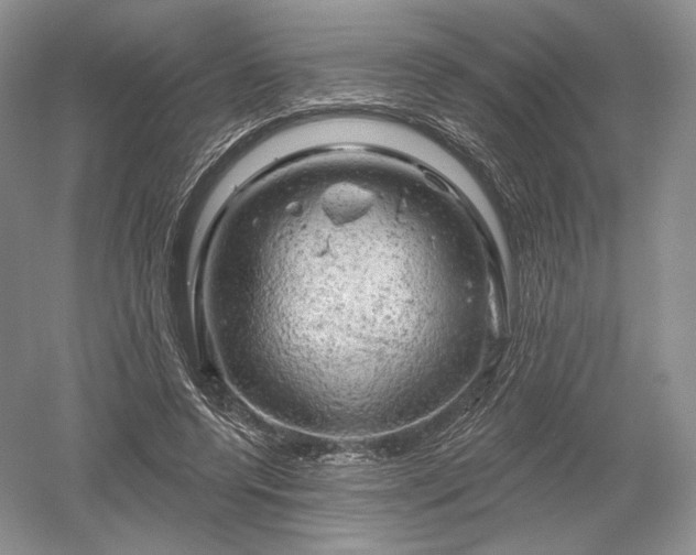 X0000052640544200507082008