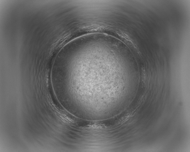 X0000052640545200507082008