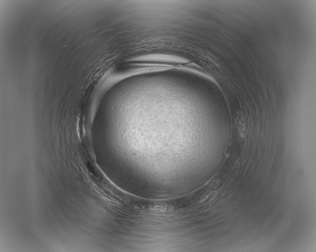 X0000052640546200507082008