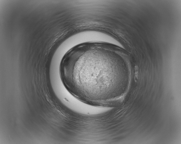 X0000052640547200507082008