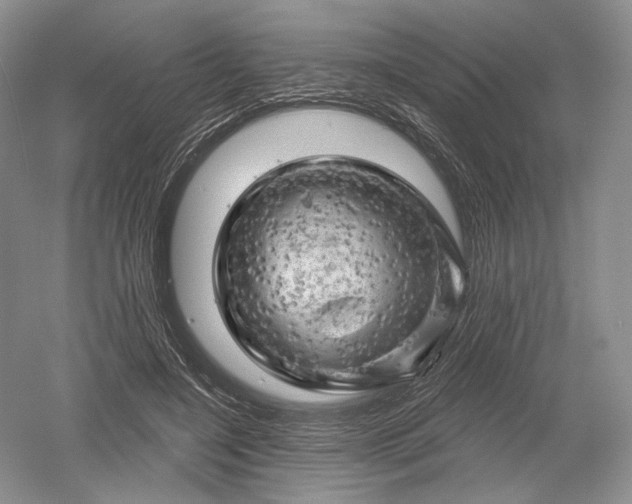 X0000052640548200507082008