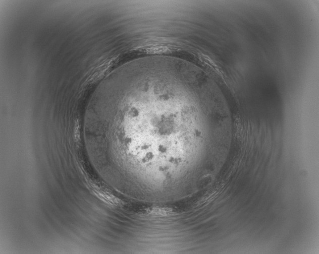 X0000052640549200507082008