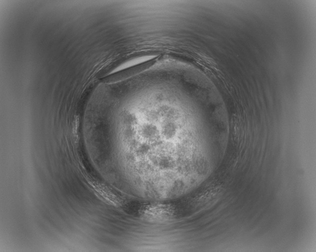 X0000052640550200507082008