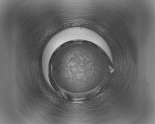 X0000052640551200507082008