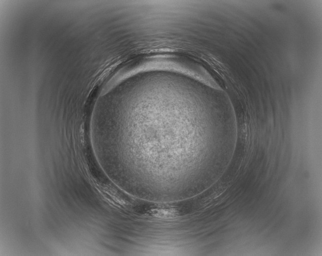 X0000052640552200507082008