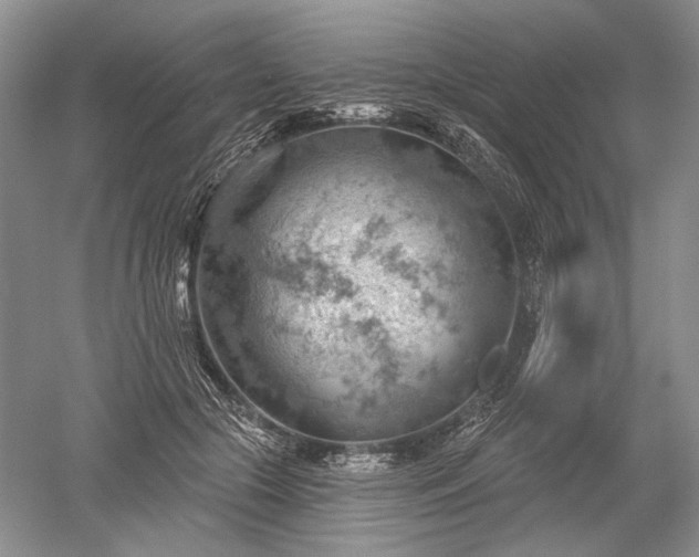 X0000052640553200507082008