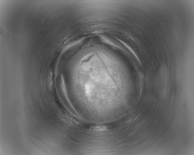 X0000052640554200507082008