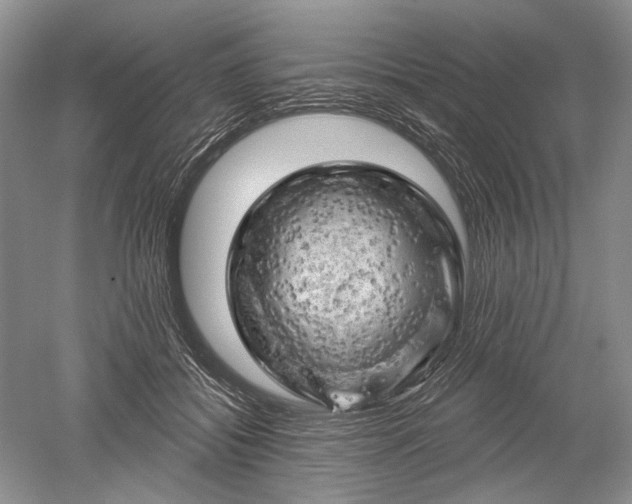 X0000052640556200507082008