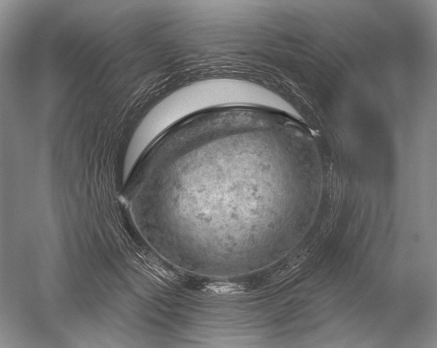 X0000052640557200507082008