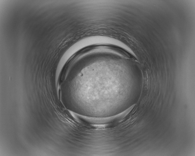 X0000052640558200507082008