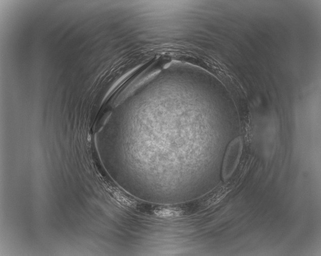 X0000052640561200507082008