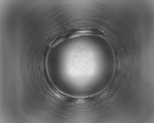 X0000052640562200507082008