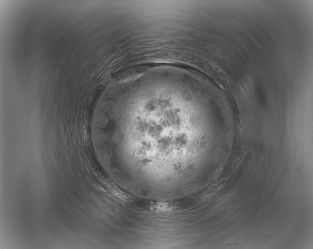 X0000052640565200507082008