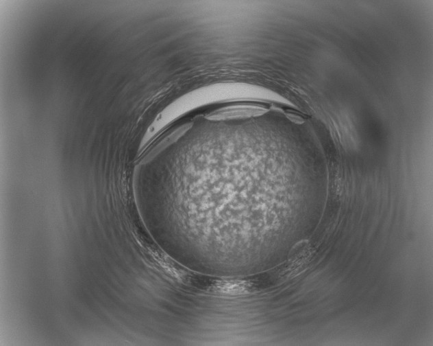 X0000052640569200507082008