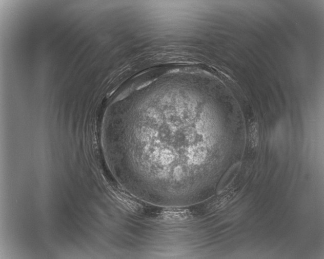 X0000052640571200507082008