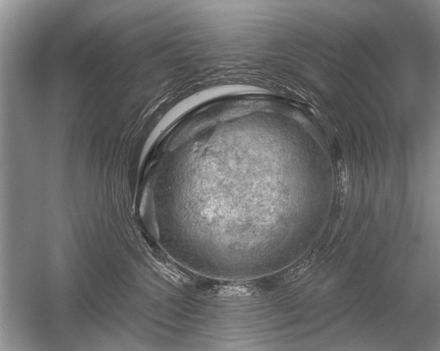 X0000052640572200507082008