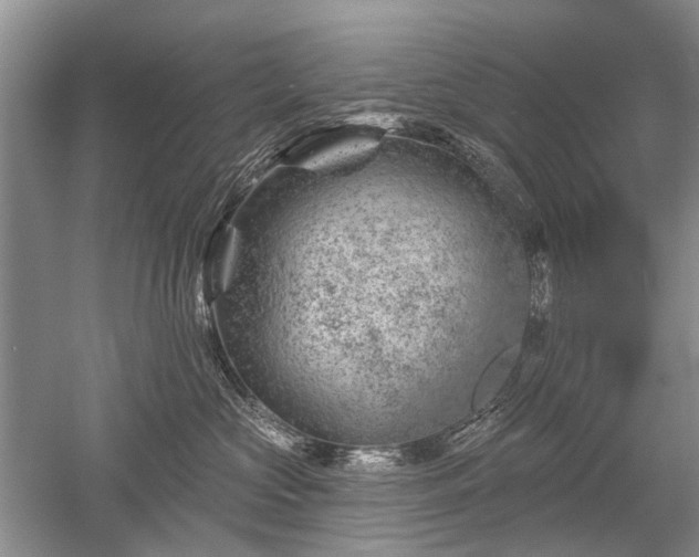 X0000052640573200507082008