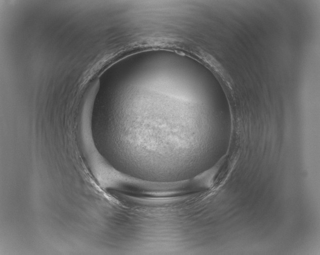 X0000052640577200507082008