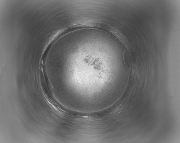 X0000052640578200507082008