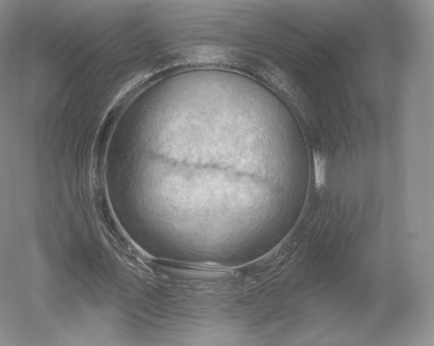 X0000052640579200507082008