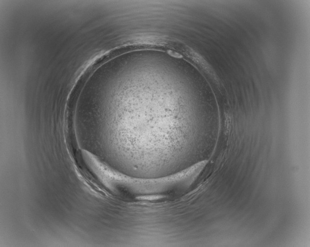 X0000052640580200507082008