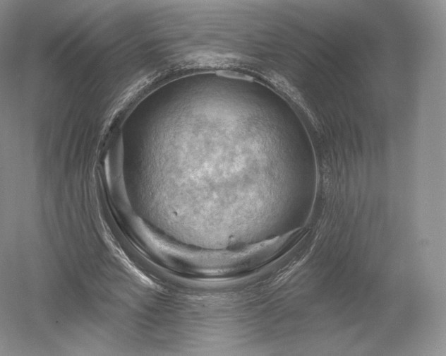 X0000052640581200507082008