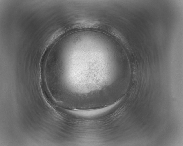 X0000052640582200507082008